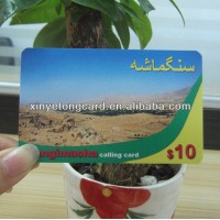 Plastic 125khz EM4200 RFID Card only Read ISO CR80 Business PVC Card